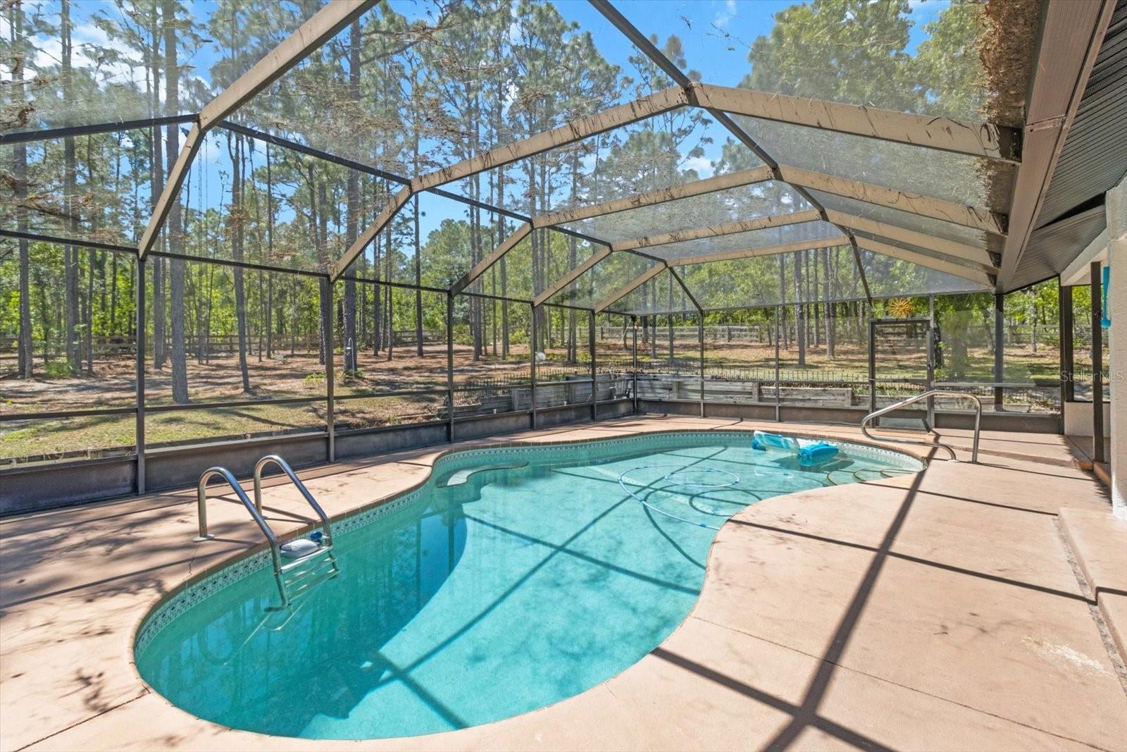 Image 37 of 45 For 5531 Mallows Circle