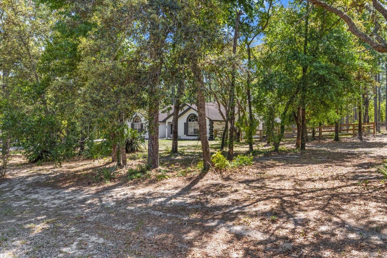 Image 44 of 45 For 5531 Mallows Circle