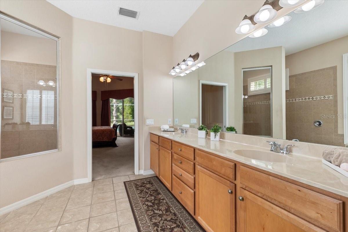 Image 17 of 97 For 27447 Water Ash Drive