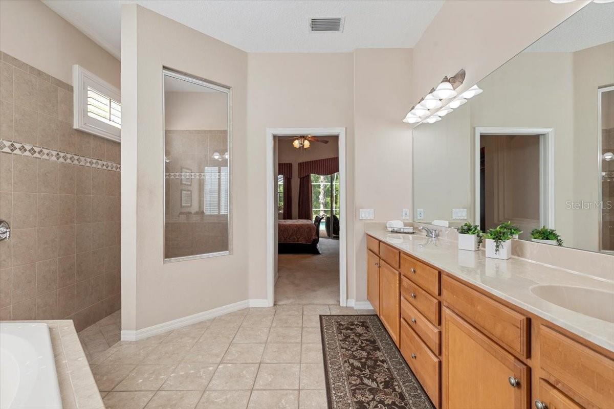 Image 18 of 97 For 27447 Water Ash Drive