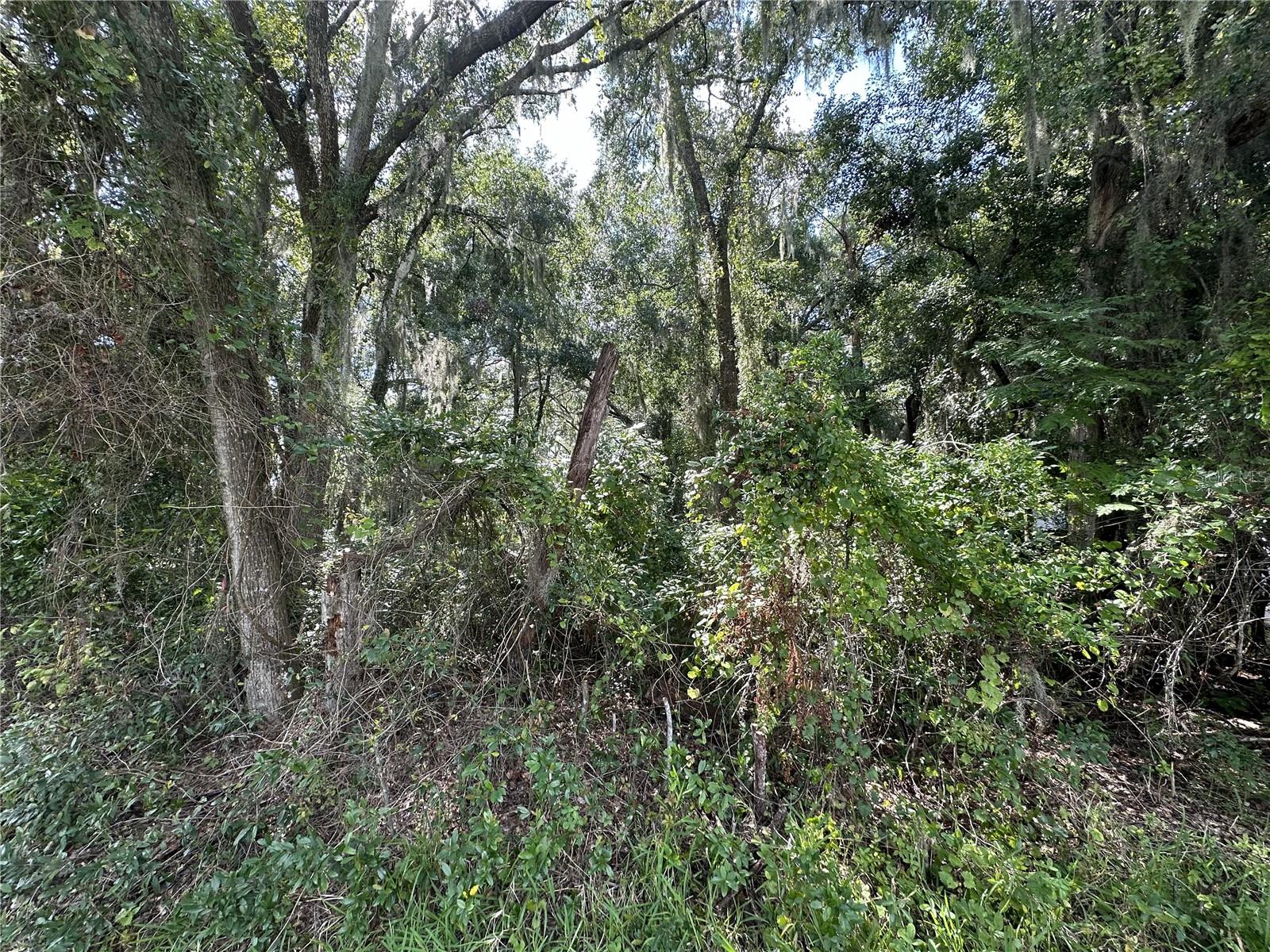 Image 4 of 6 For 207 Old Wire Road