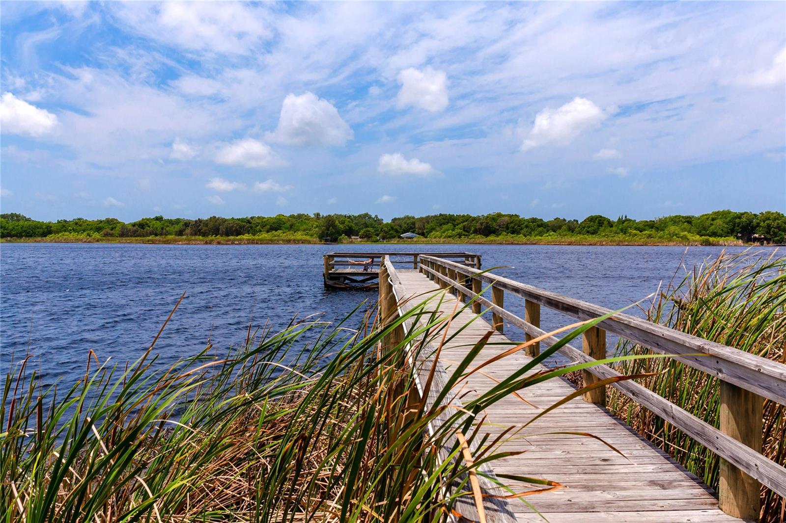 Image 51 of 52 For 2229 Americus Boulevard W 25