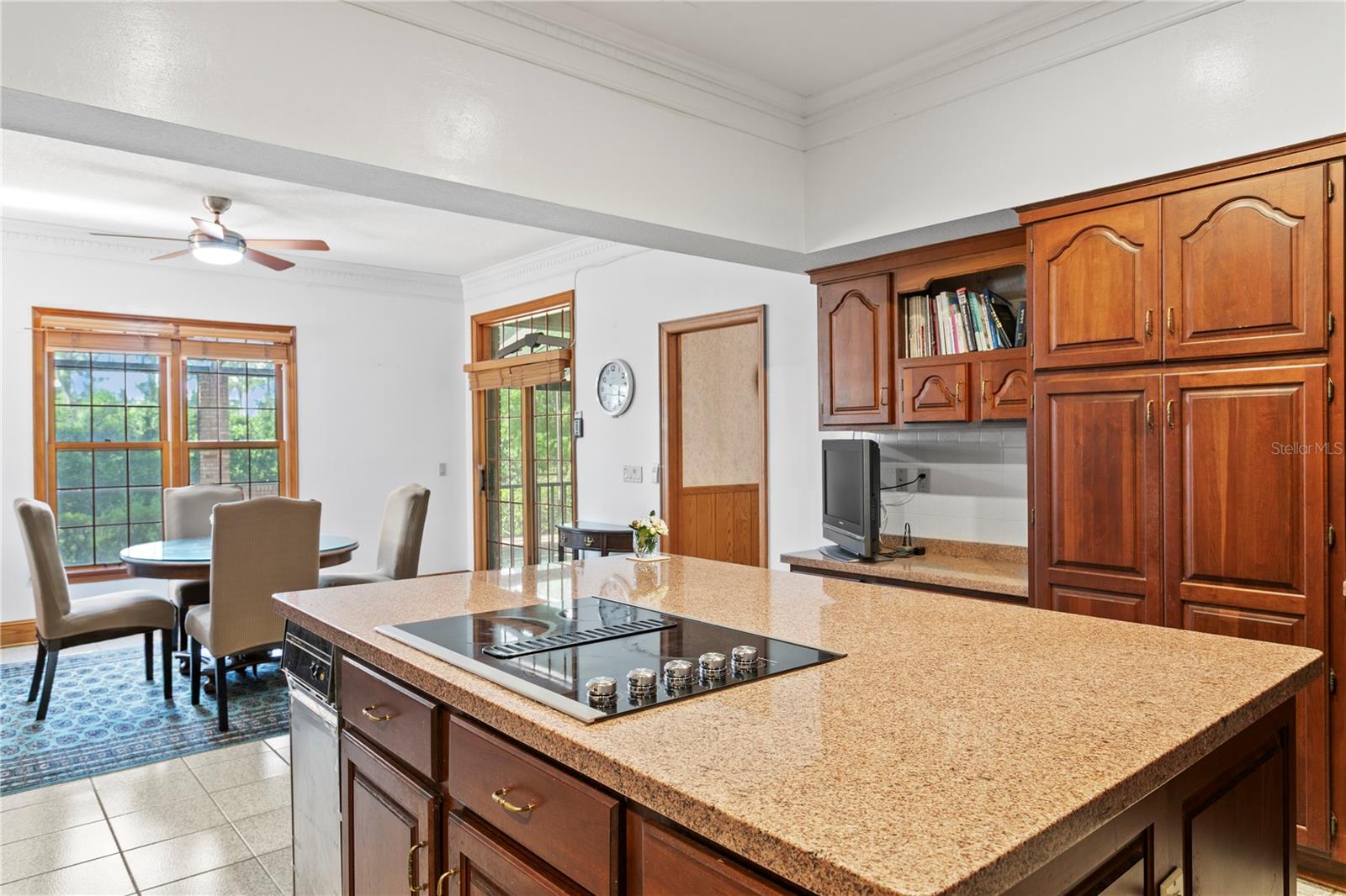 Listing photo id 9 for 1203 Parrilla De Avila