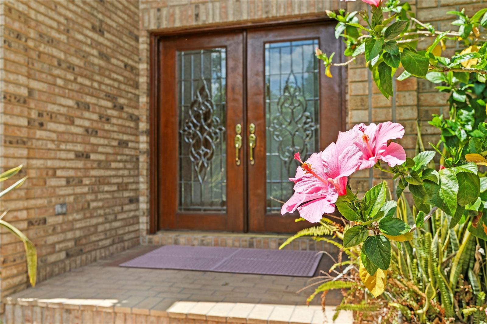 Listing photo id 0 for 1203 Parrilla De Avila