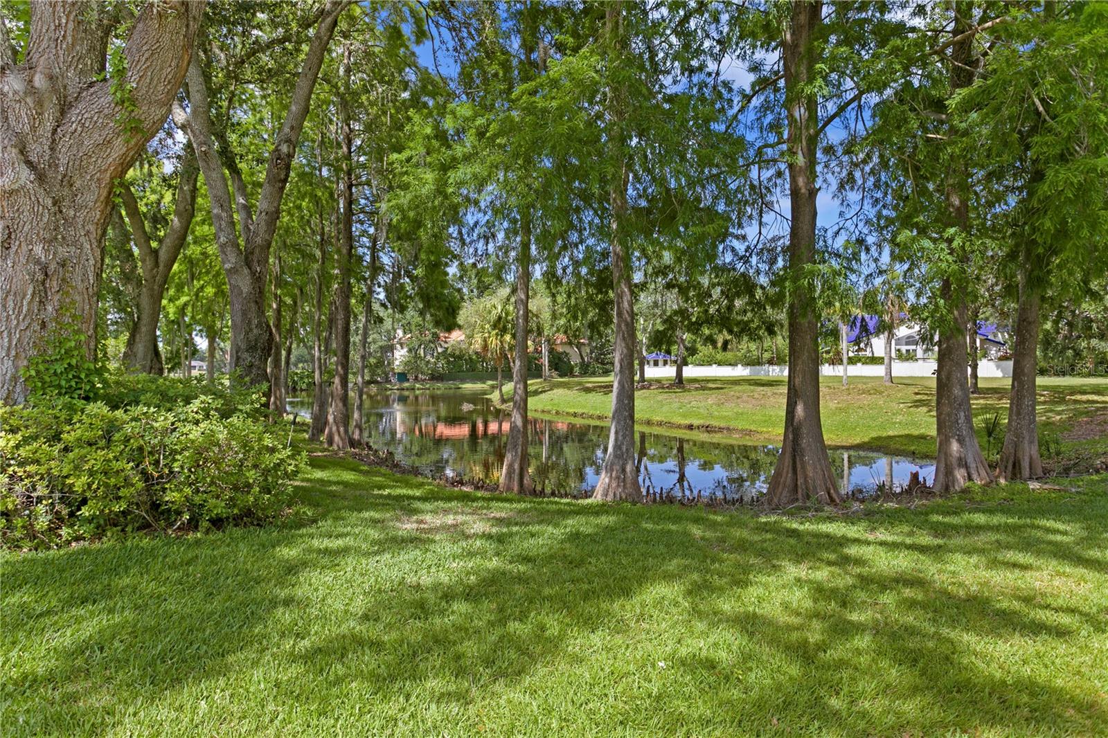 Listing photo id 27 for 1203 Parrilla De Avila