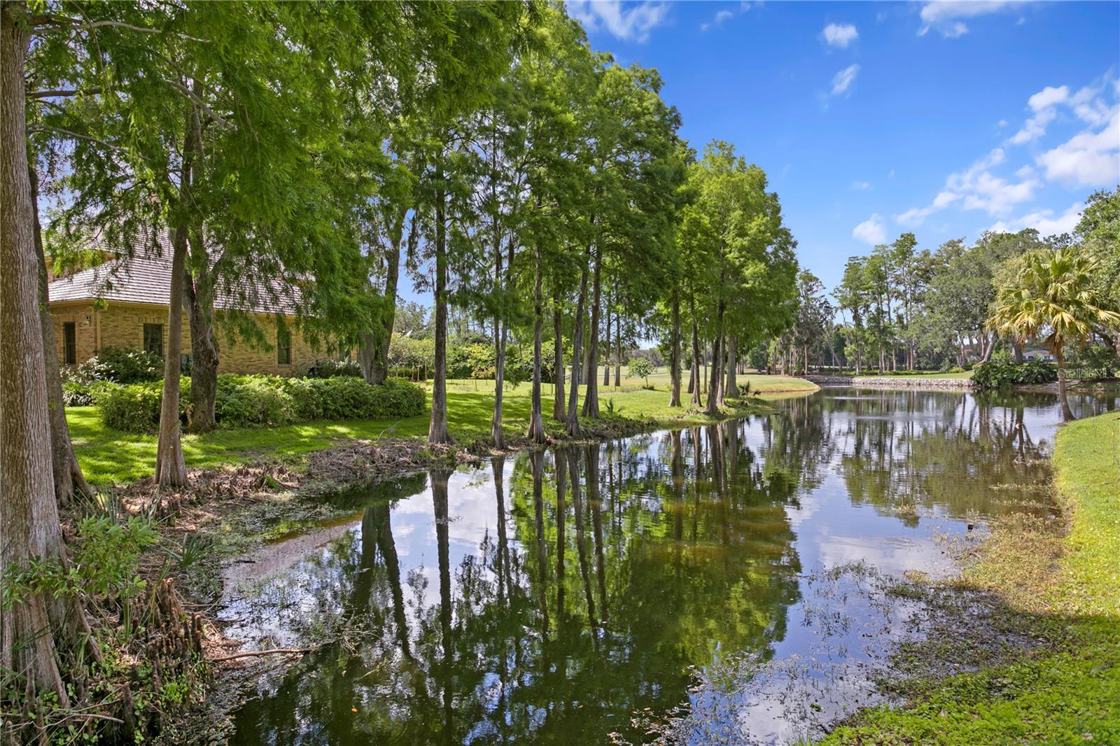 Listing photo id 28 for 1203 Parrilla De Avila