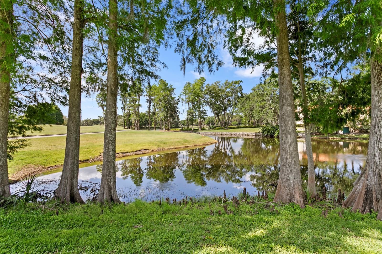 Listing photo id 29 for 1203 Parrilla De Avila