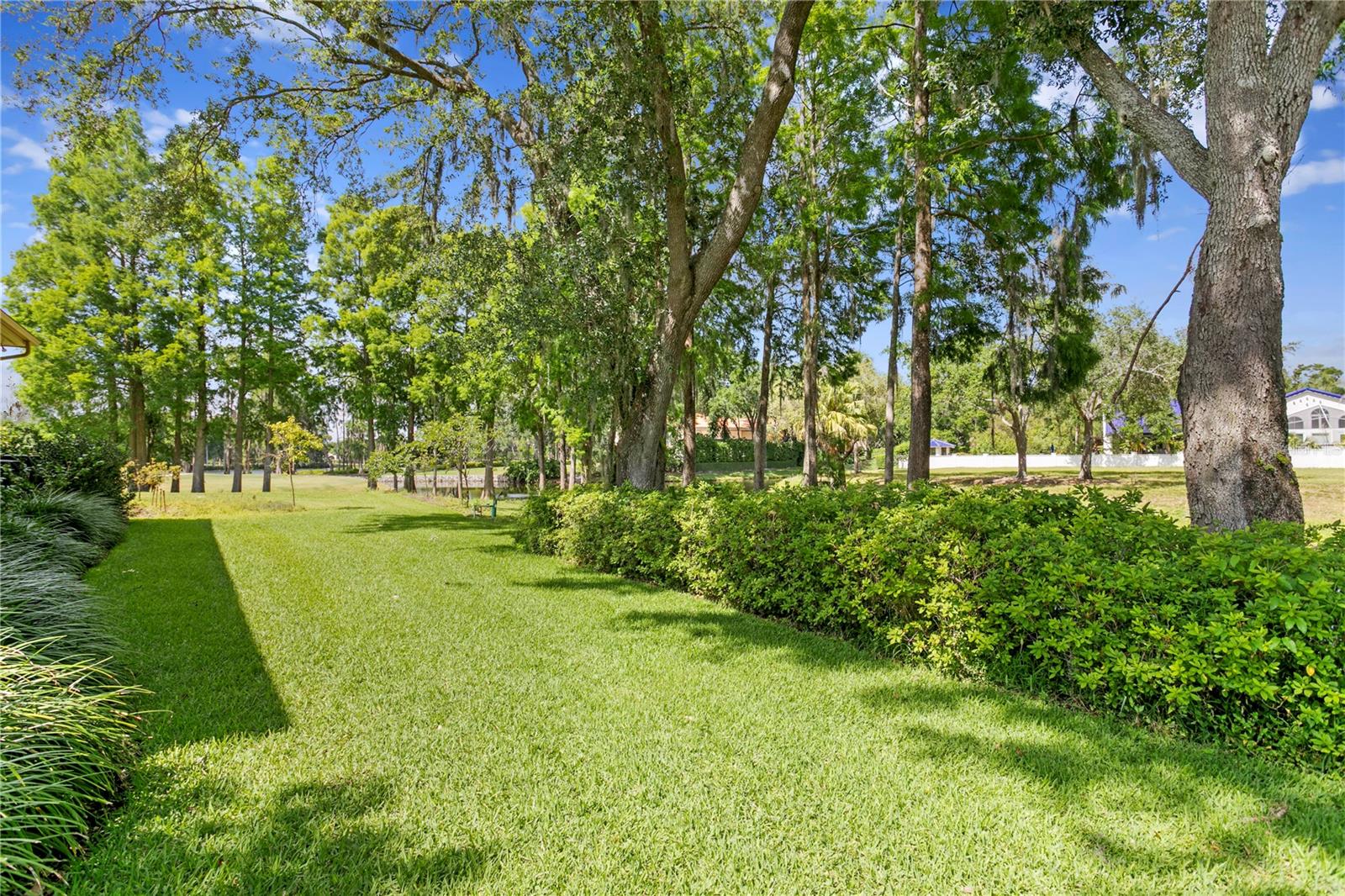 Listing photo id 30 for 1203 Parrilla De Avila