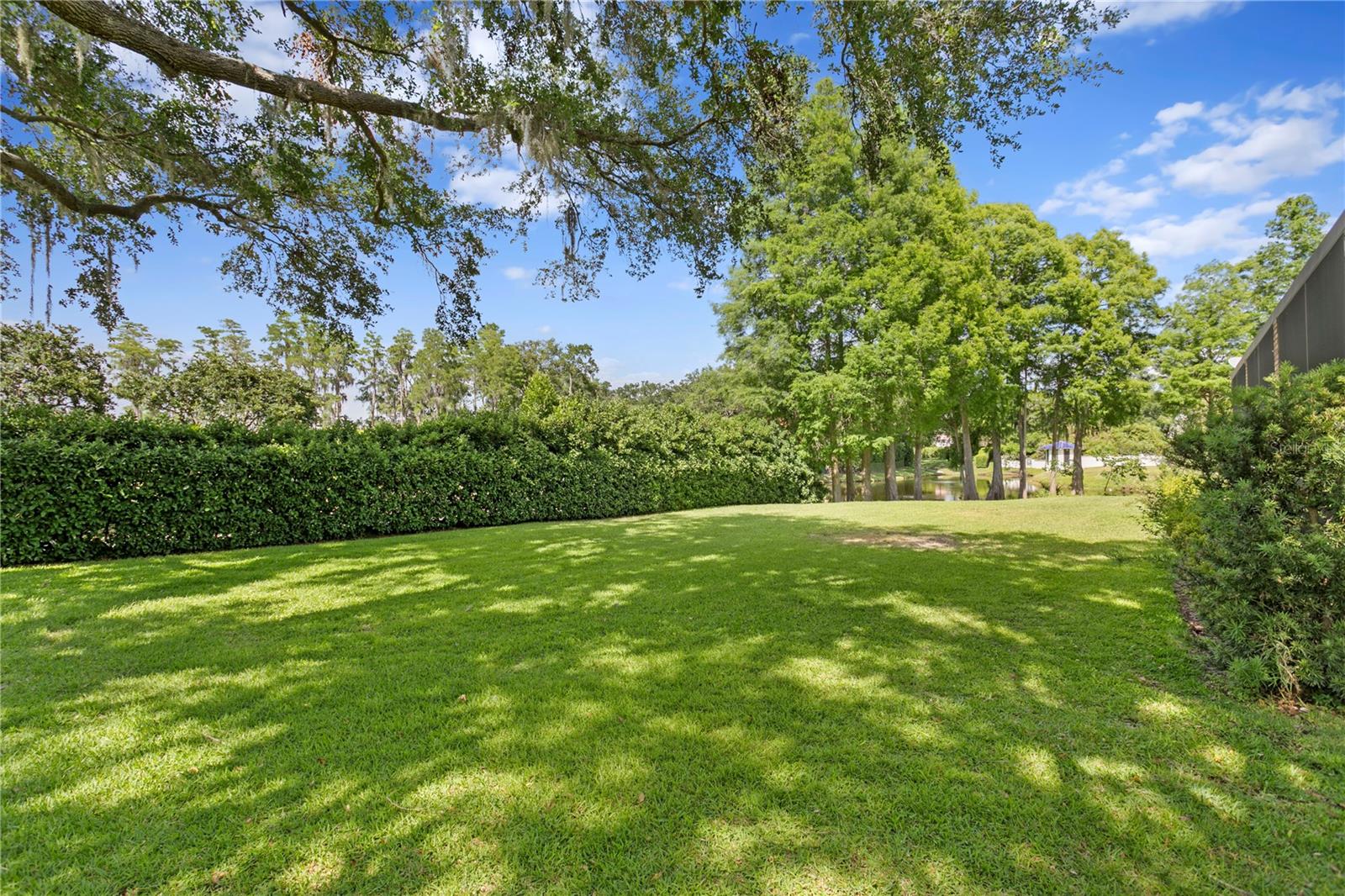 Listing photo id 33 for 1203 Parrilla De Avila