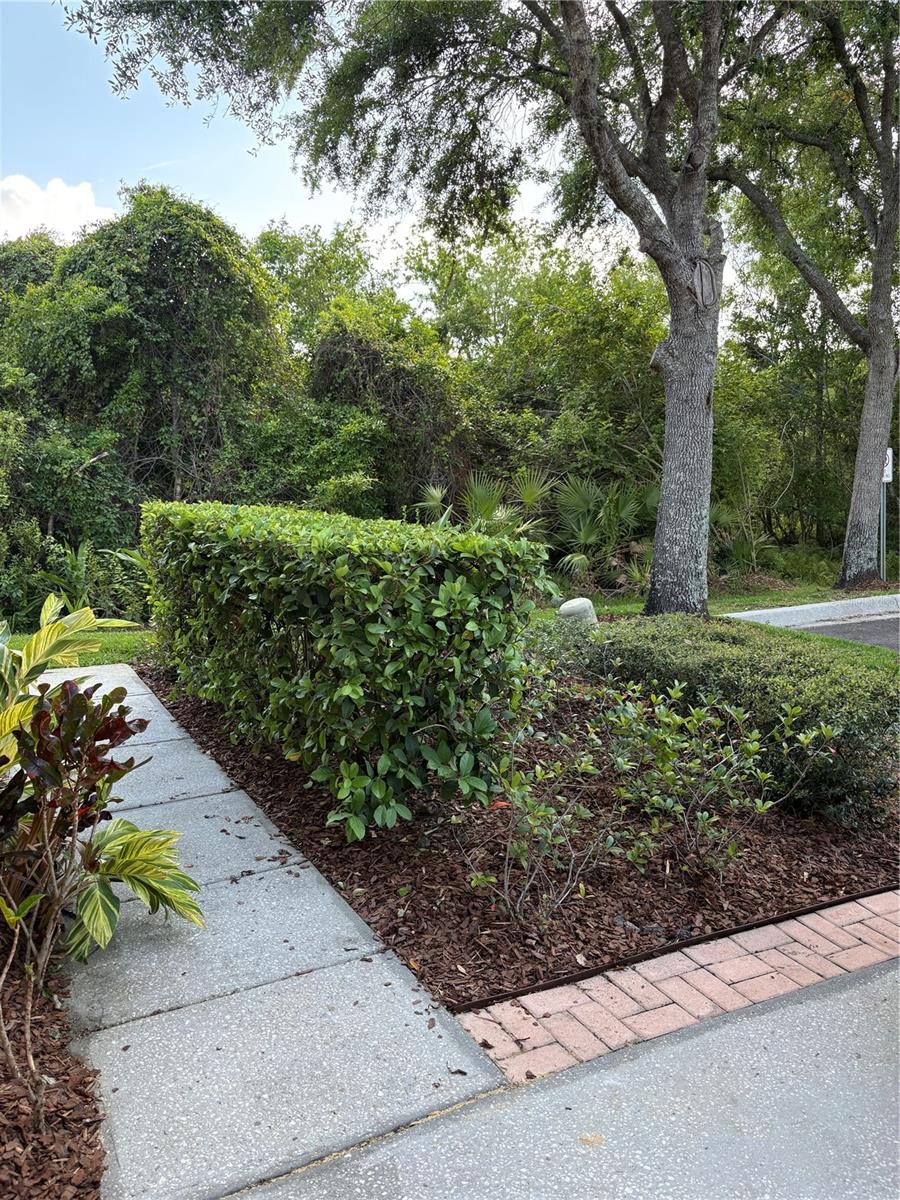 Image 48 of 57 For 30042 Mossbank Drive