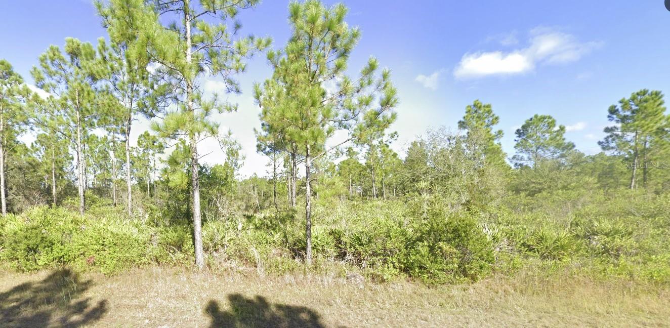 Image 4 of 35 For 404 Allamanda Drive