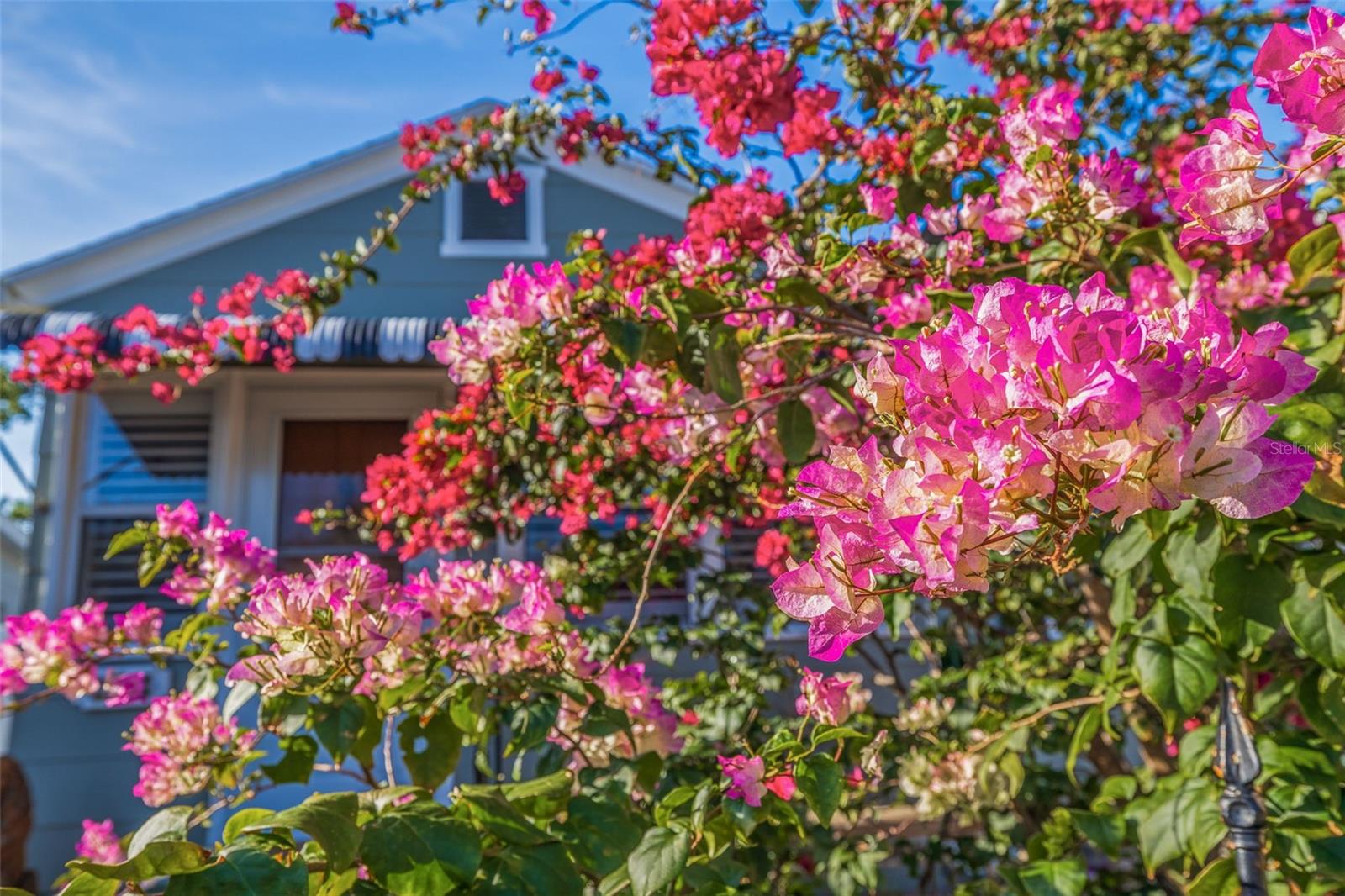 Image 4 of 39 For 4426 3rd Avenue N