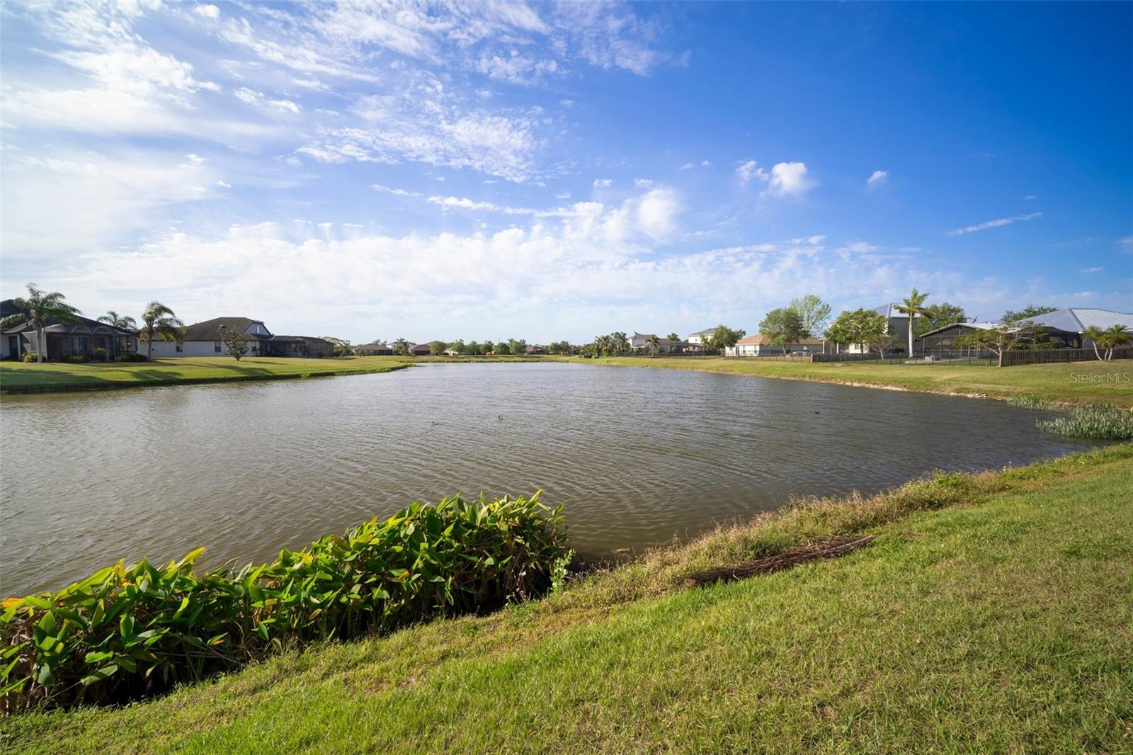 Image 6 of 48 For 5460 Sandy Shell Drive