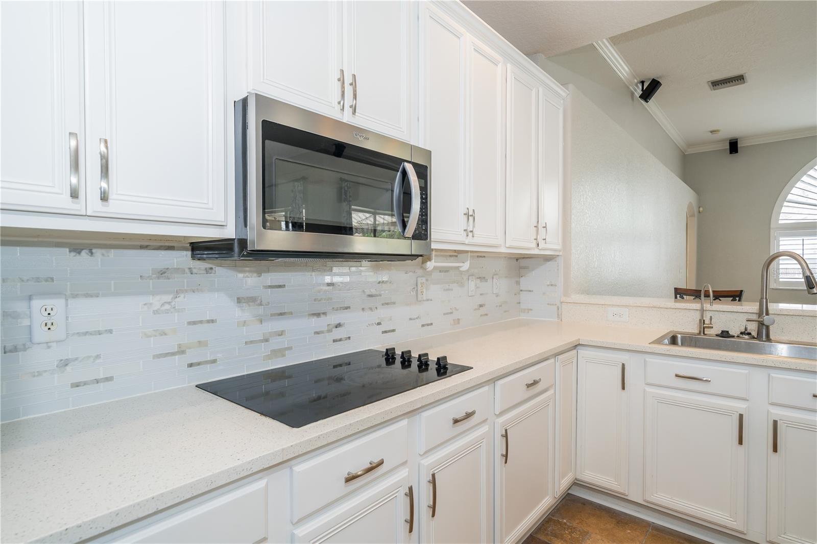Image 2 of 62 For 27130 Firebush Drive