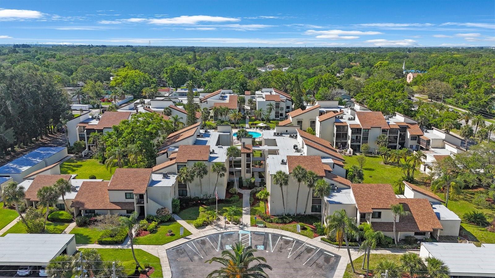 Image 29 of 33 For 2205 Belleair Road A24