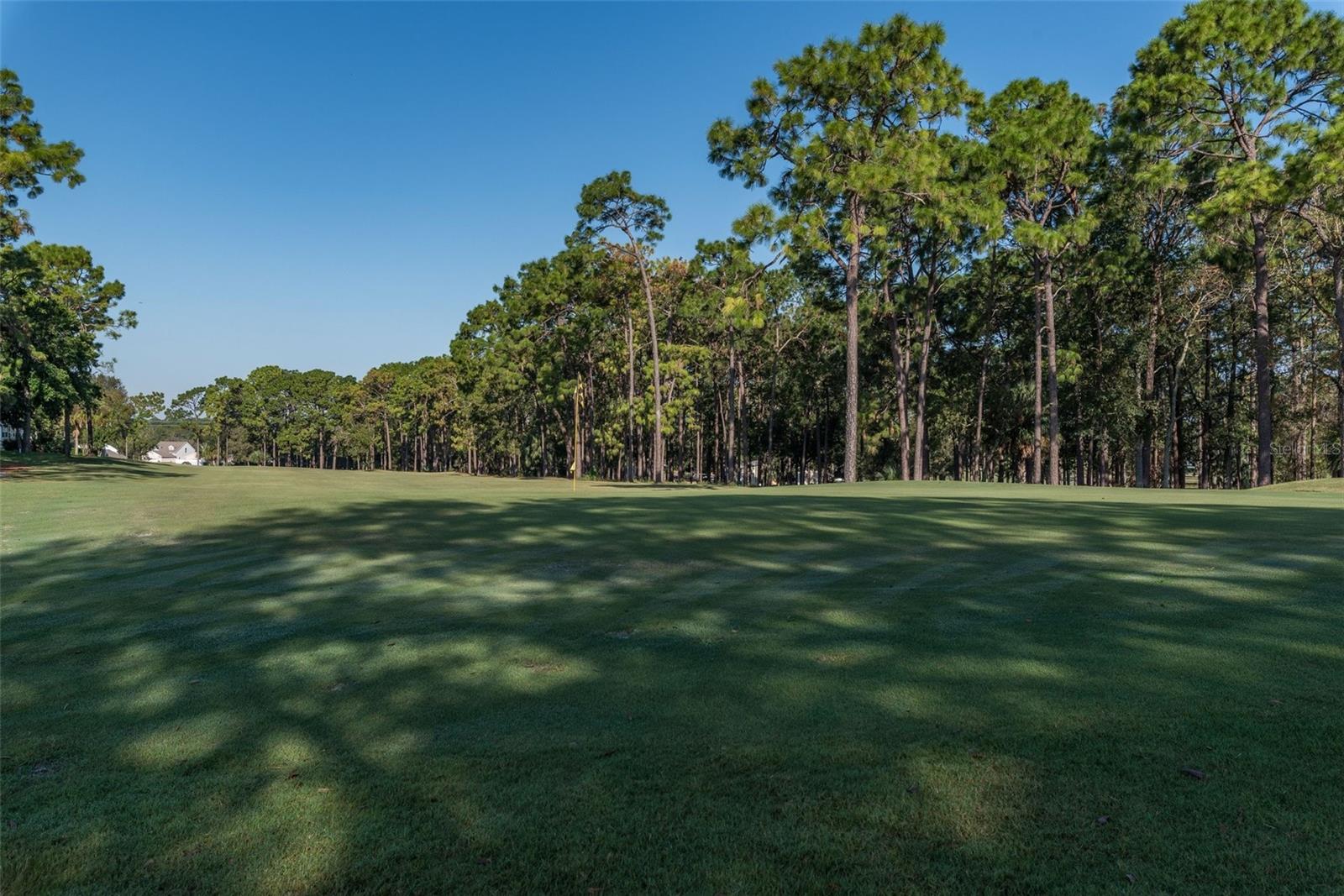 Image 45 of 52 For 16203 Brookridge Boulevard