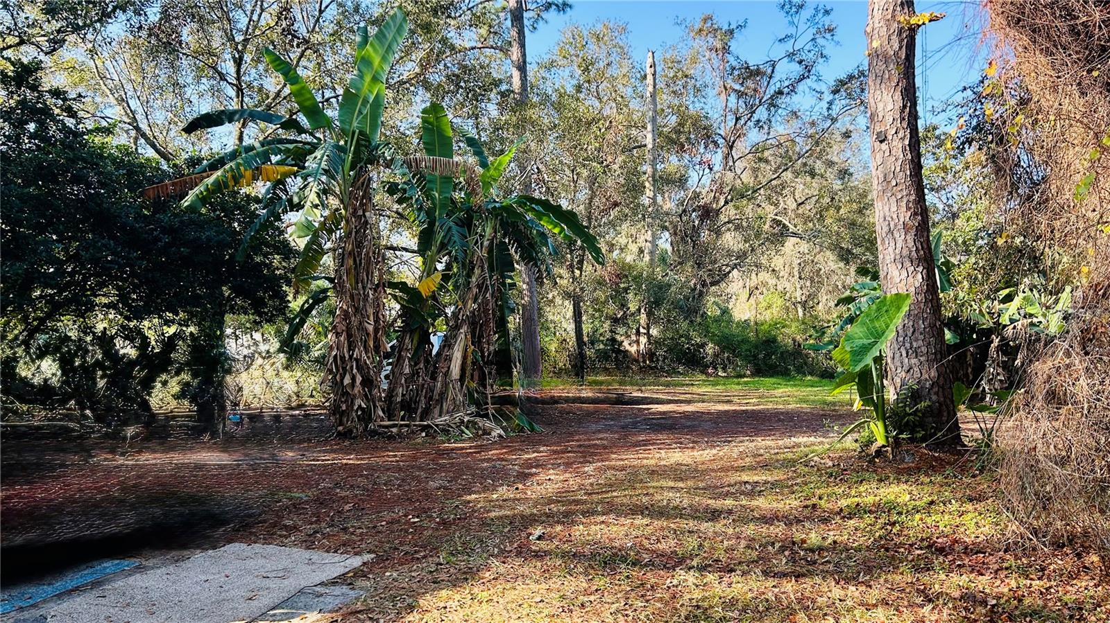 Listing photo id 1 for 18186 Ferry Avenue