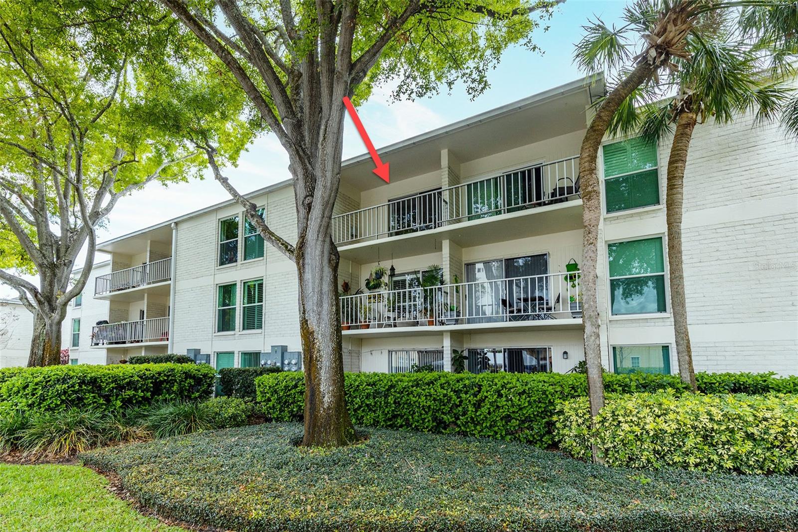 Image 3 of 32 For 3325 Bayshore Boulevard D35