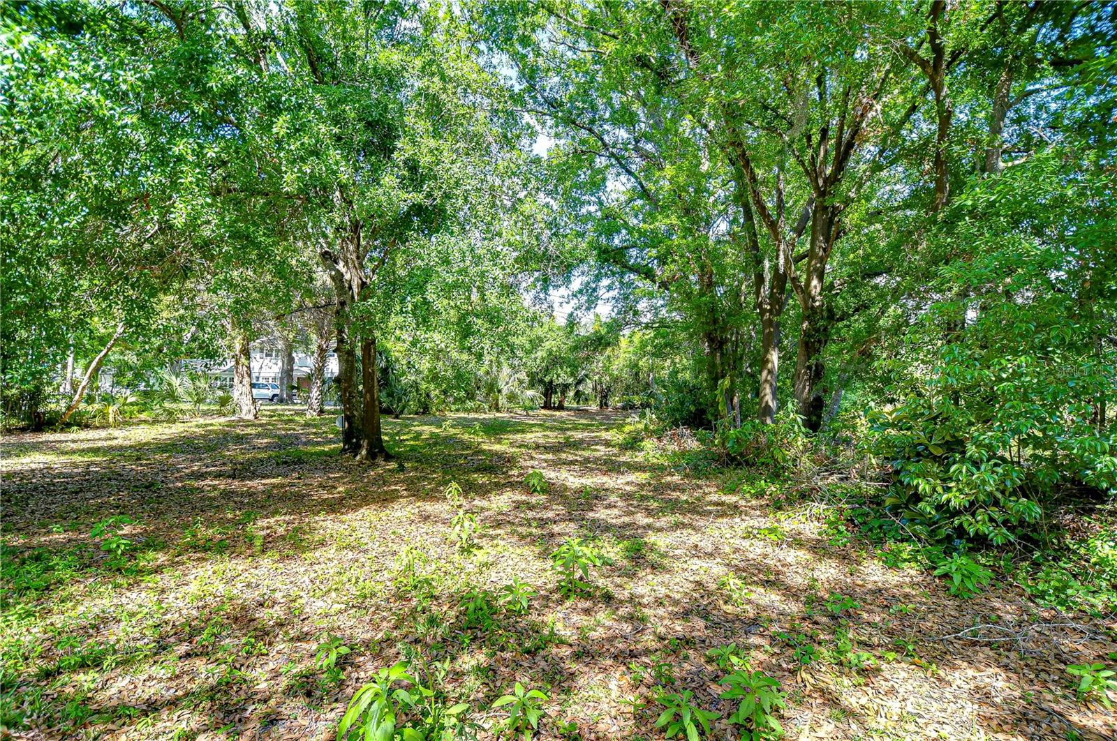 Image 51 of 55 For 13329 Armenia Avenue