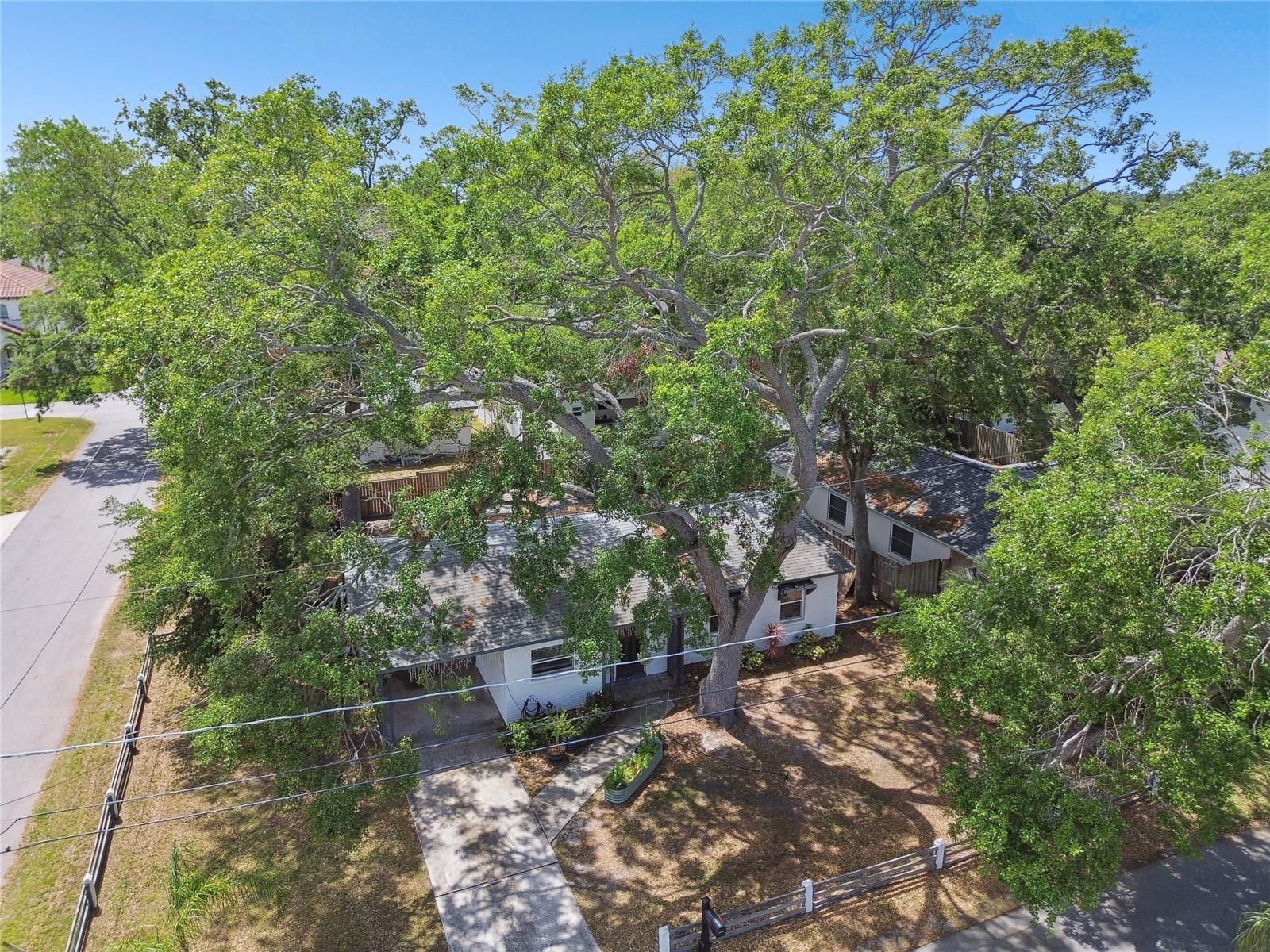 Image 49 of 64 For 3202 Coachman Avenue