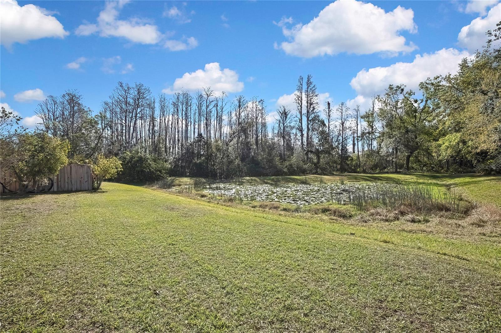 Image 39 of 61 For 7740 Blue Spring Drive