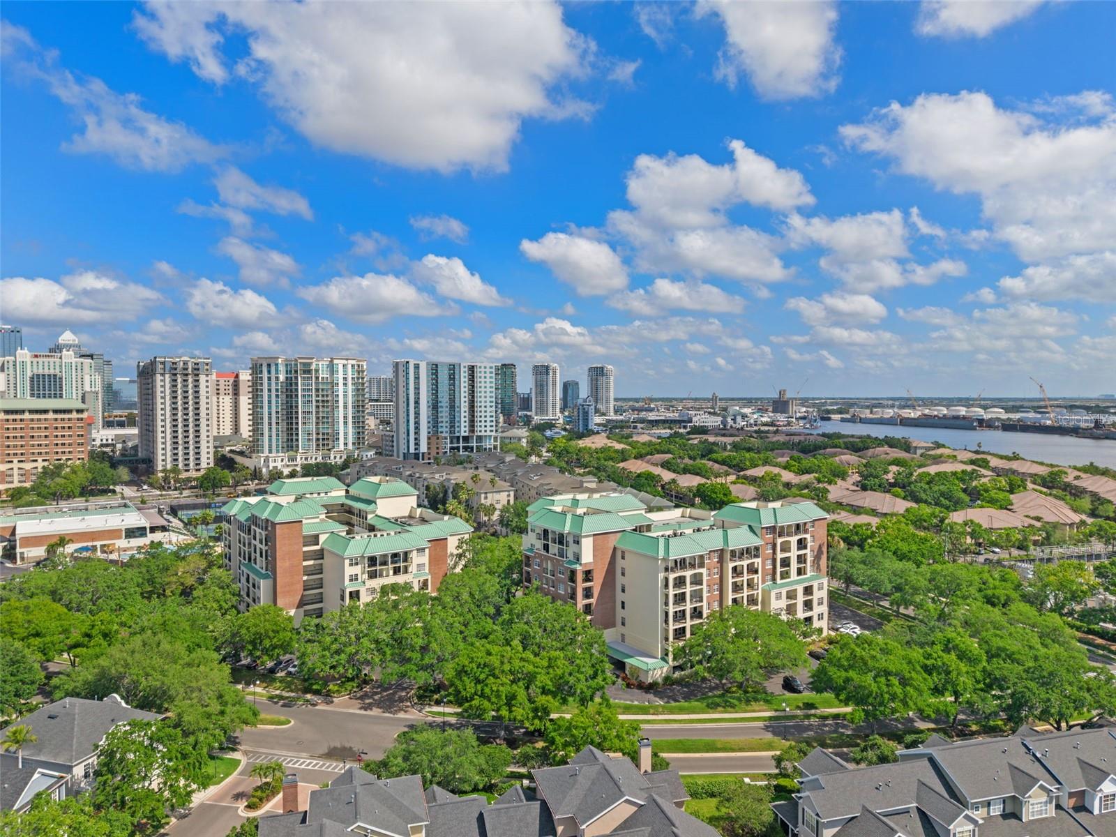 Image 2 of 49 For 1002 Harbour Island Boulevard 1312