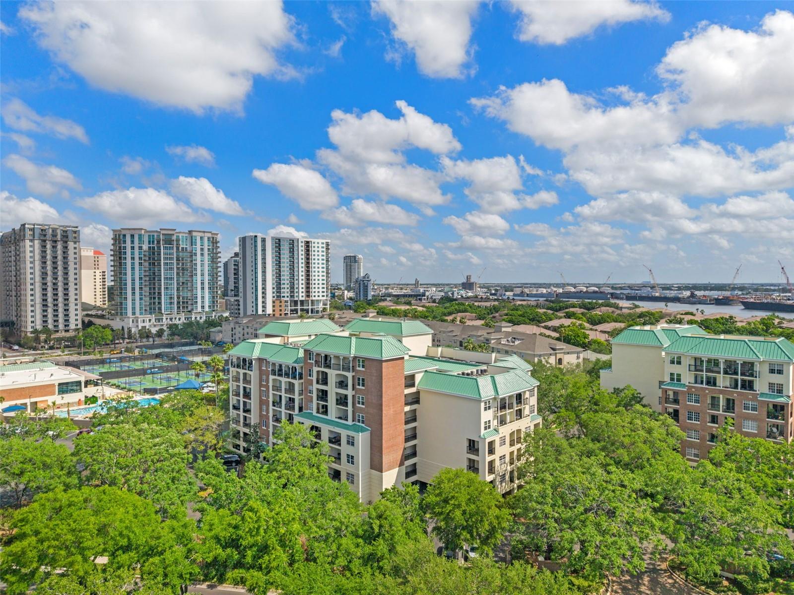 Image 39 of 49 For 1002 Harbour Island Boulevard 1312