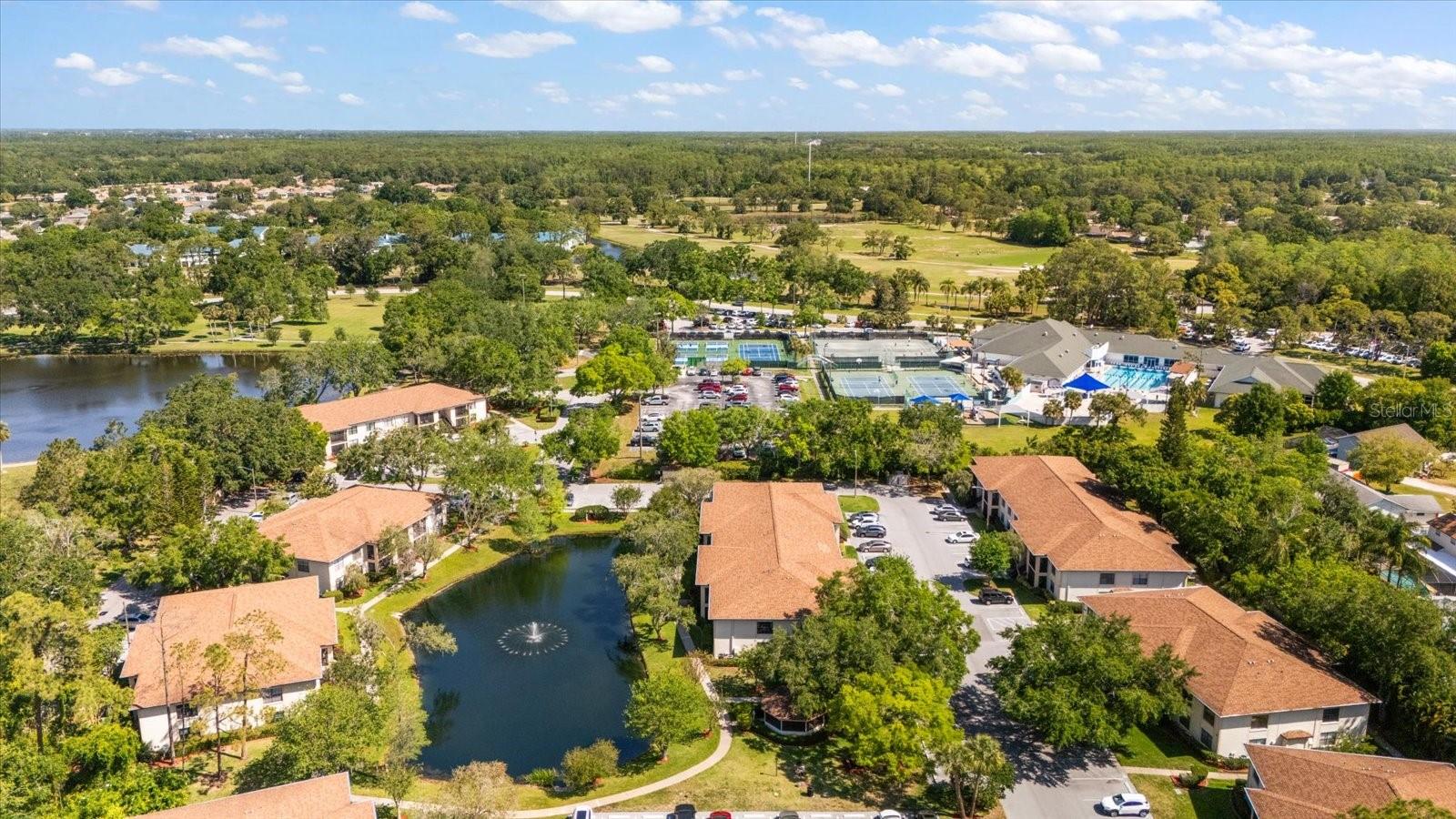 Details for 3380 Crystal Court E G, PALM HARBOR, FL 34685