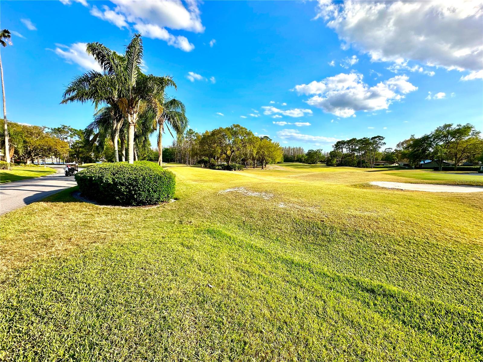 Image 42 of 58 For 5454 Saddlebrook Way Unit # 2