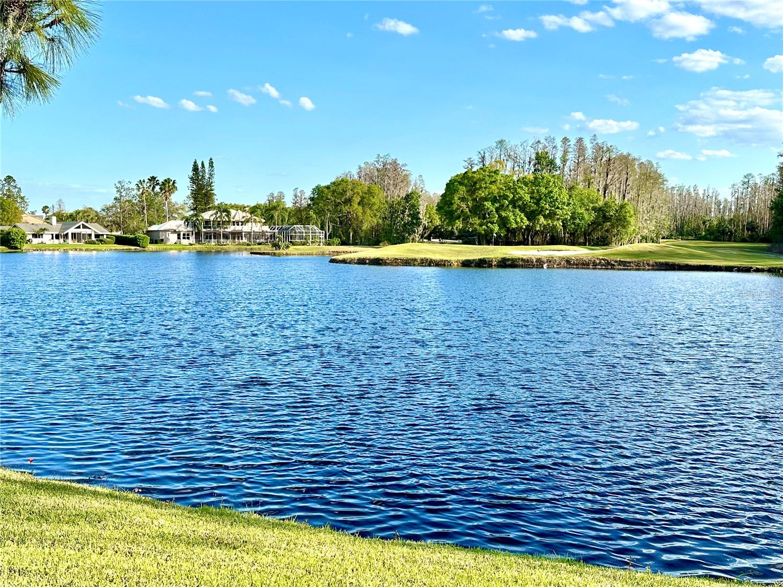 Image 43 of 58 For 5454 Saddlebrook Way Unit # 2