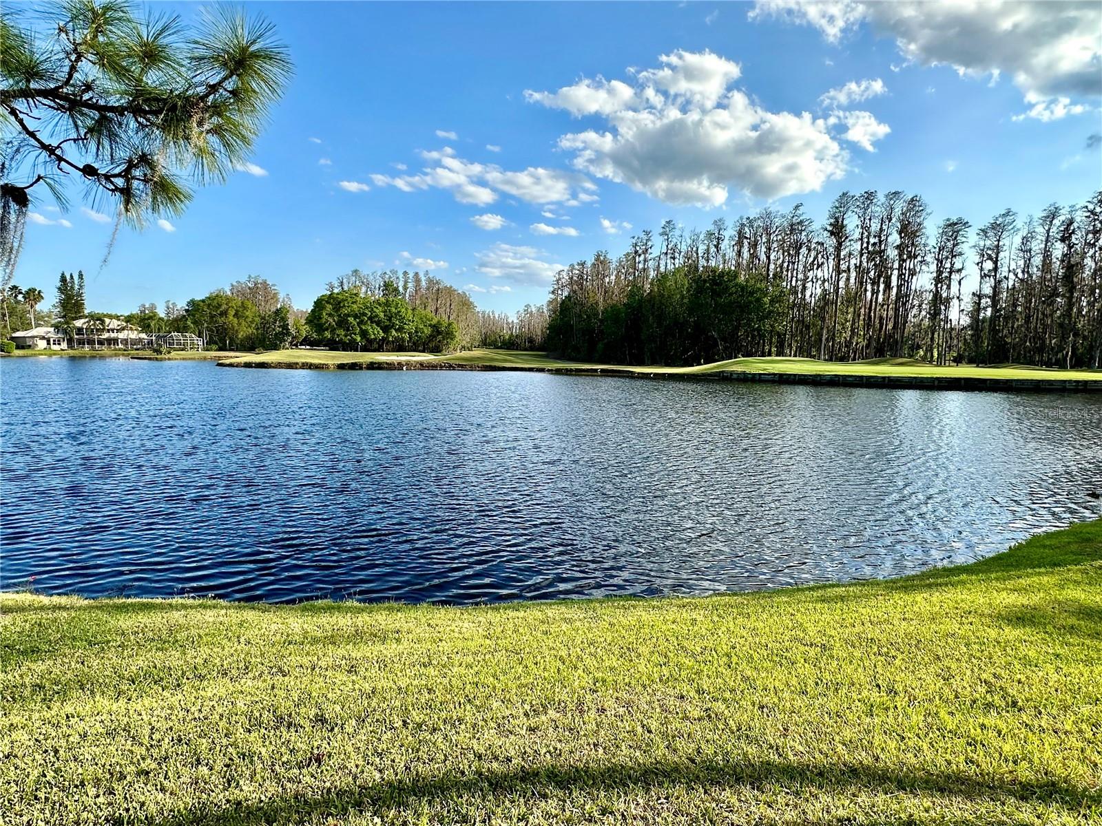 Image 44 of 58 For 5454 Saddlebrook Way Unit # 2