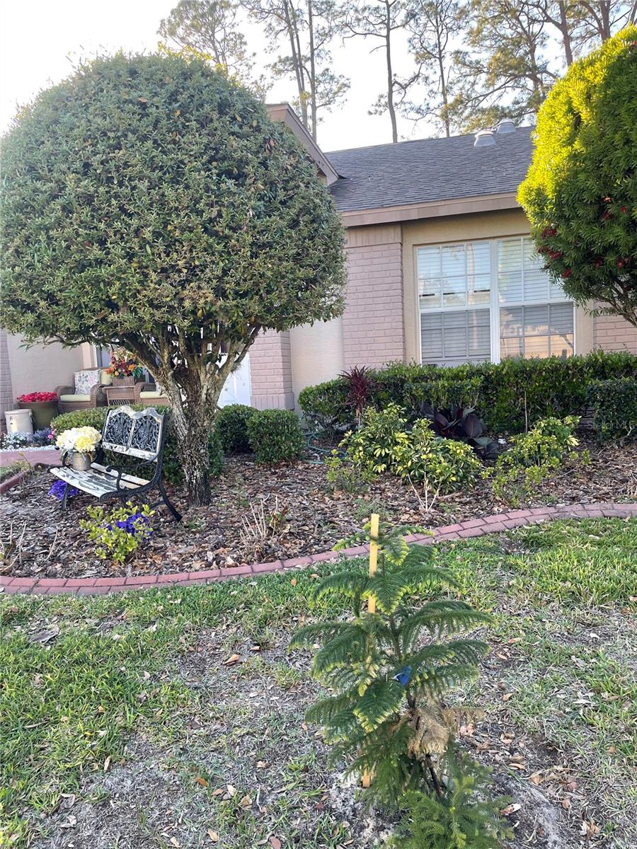Image 2 of 17 For 18607 Bent Pine Drive