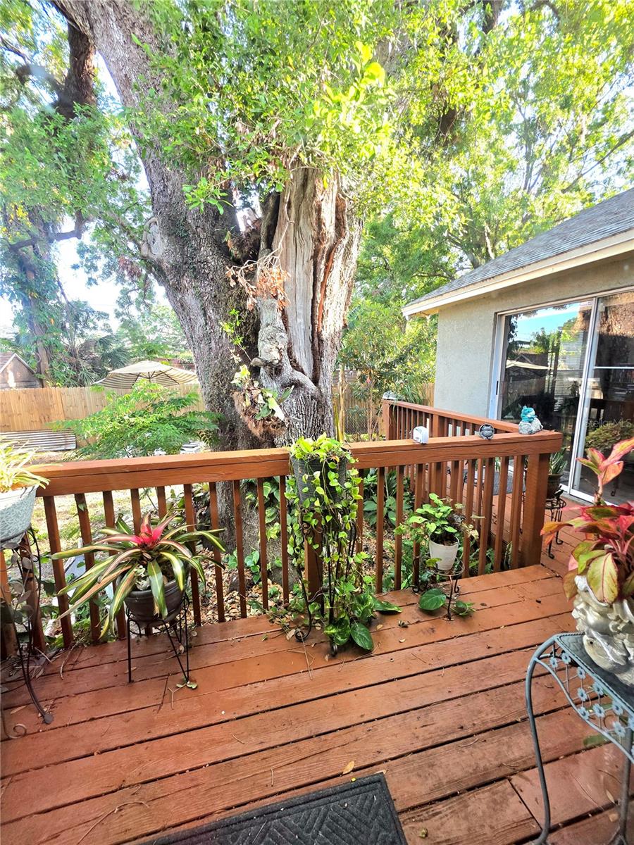 Image 16 of 26 For 2114 Hanna Avenue