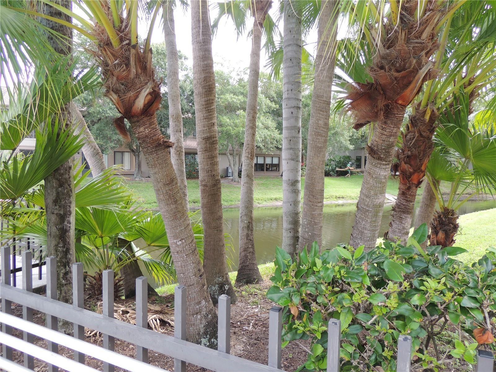 Image 34 of 40 For 3016 Landmark Boulevard 401