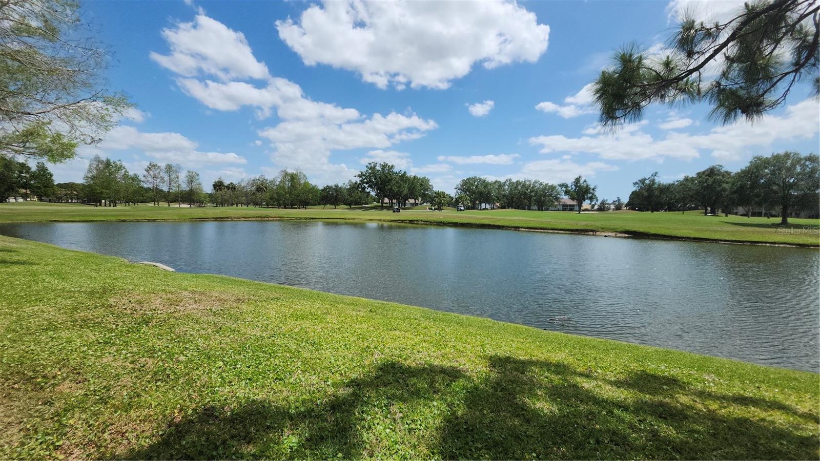 Image 5 of 40 For 6618 Pineview Terrace 6618