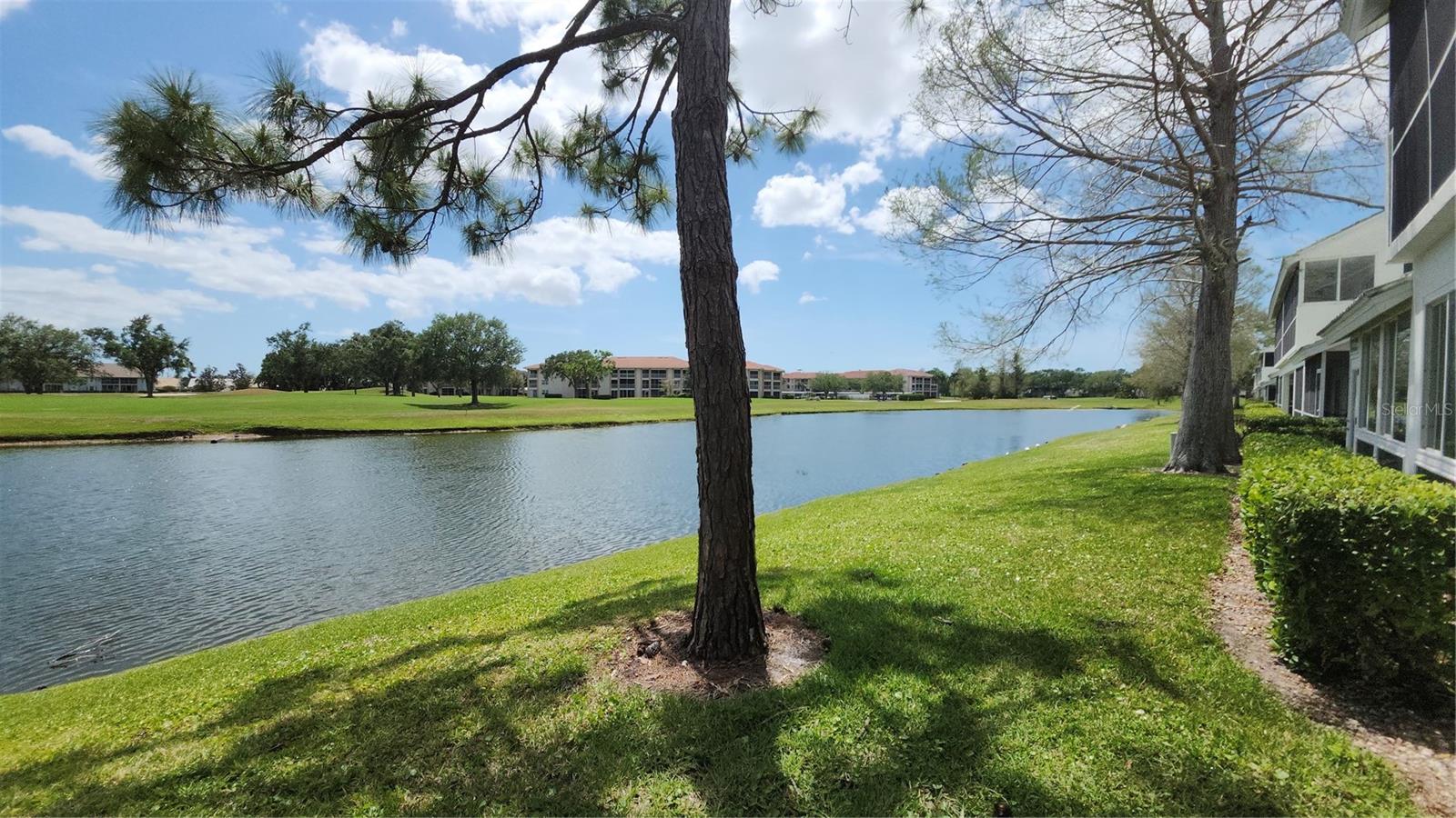 Image 6 of 40 For 6618 Pineview Terrace 6618
