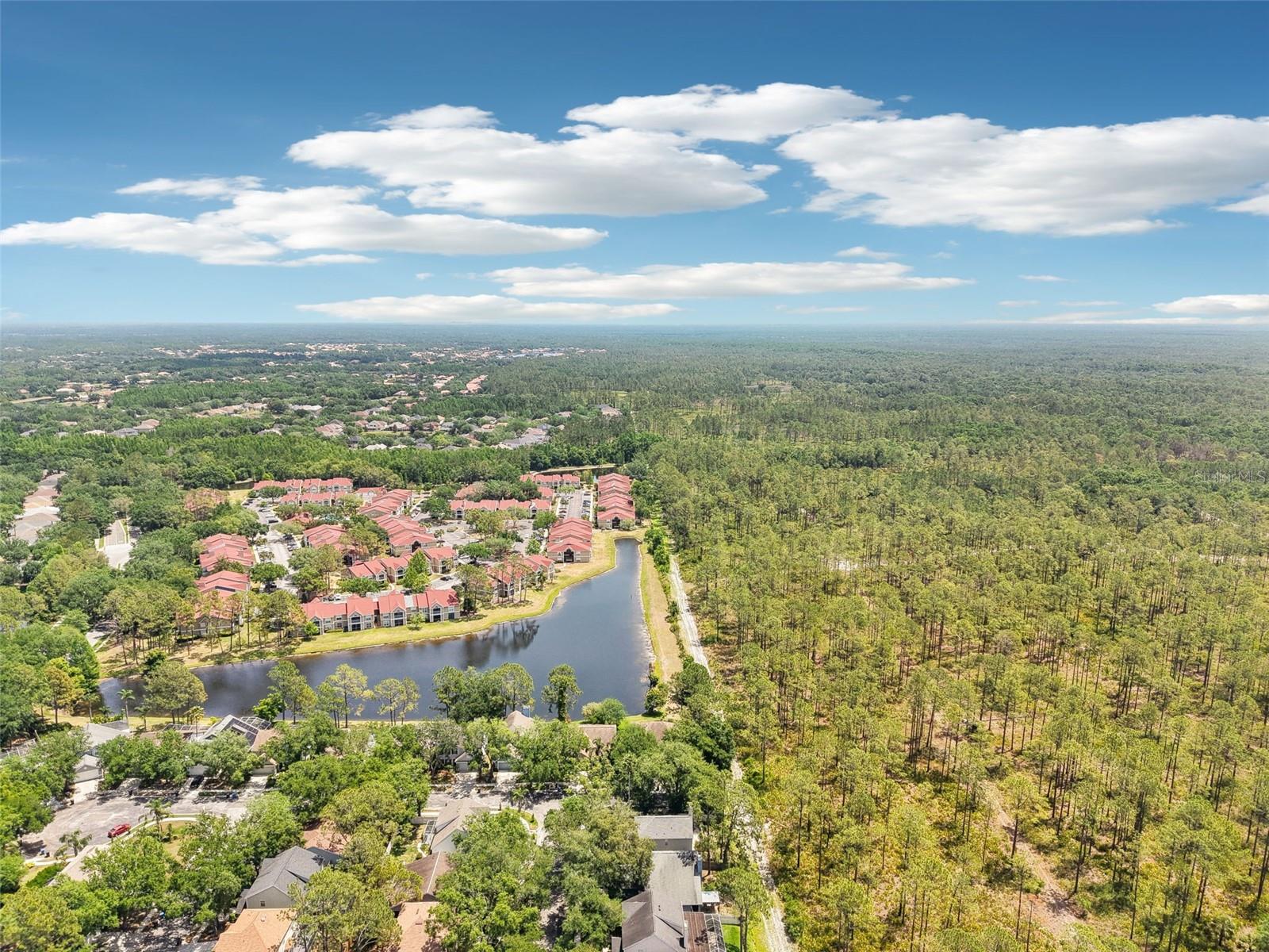 Image 37 of 68 For 9481 Highland Oak Drive 1616