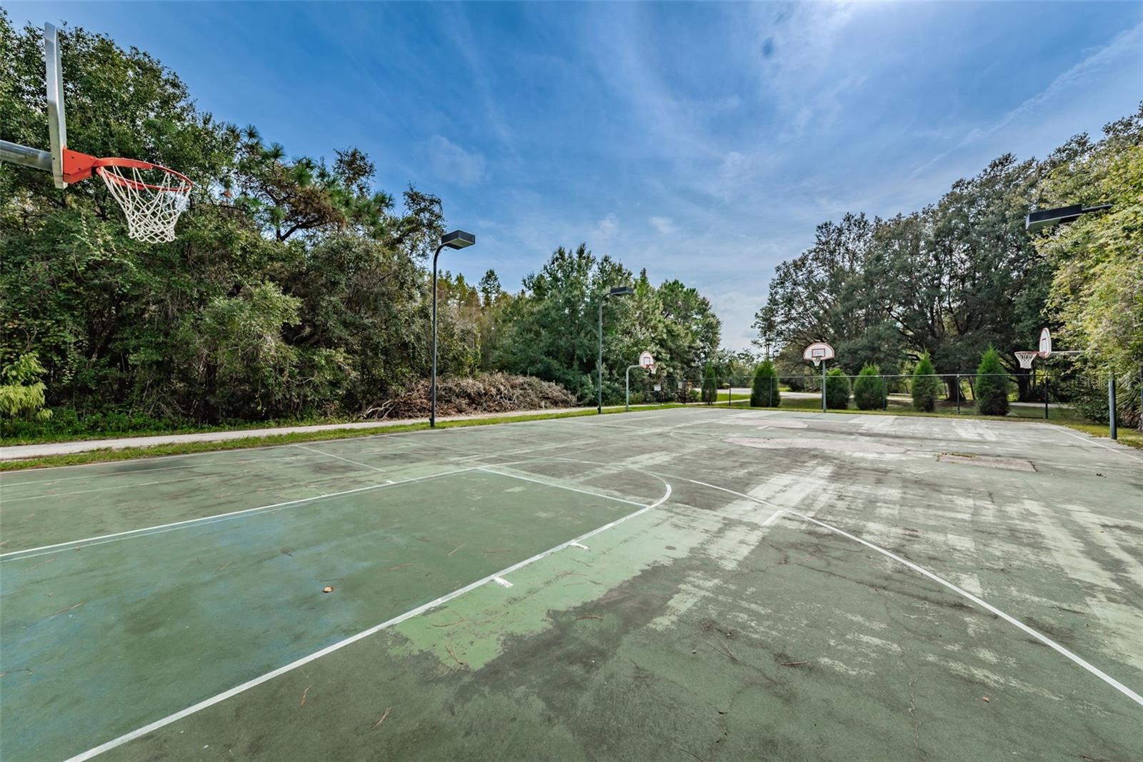 Image 56 of 68 For 9481 Highland Oak Drive 1616