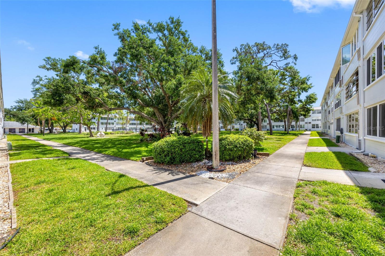 Image 6 of 47 For 1000 79th Avenue N 211