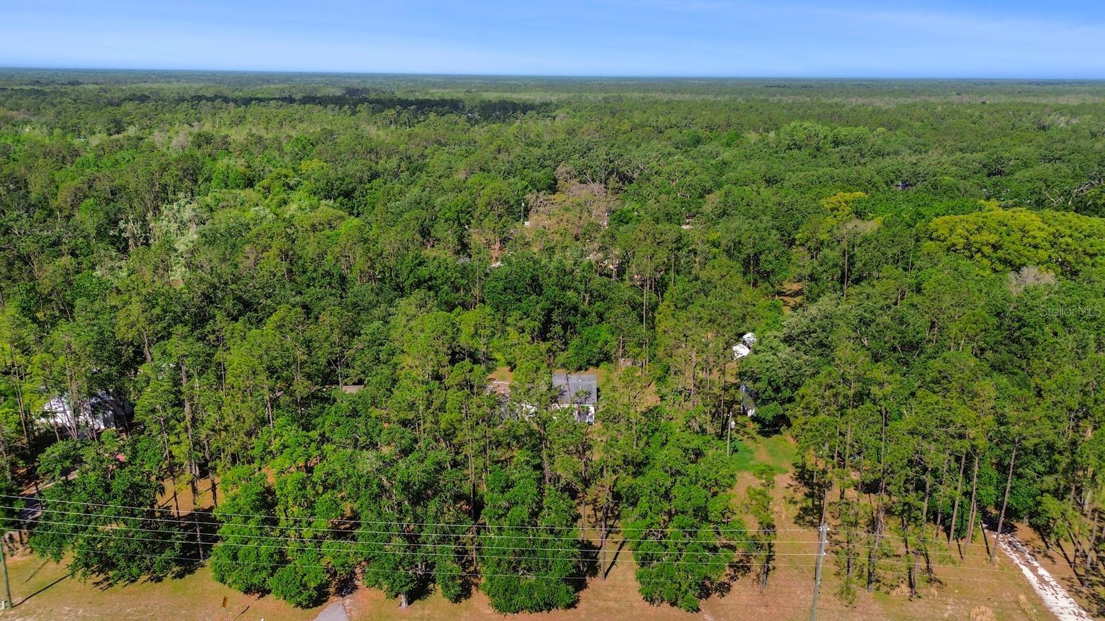 Listing photo id 16 for 7537 Old Pasco Road