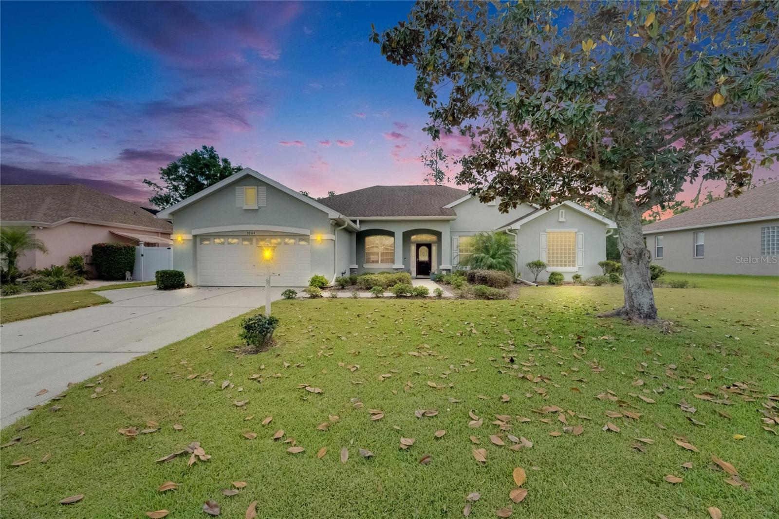 Details for 3004 Spring Hammock Drive, PLANT CITY, FL 33566