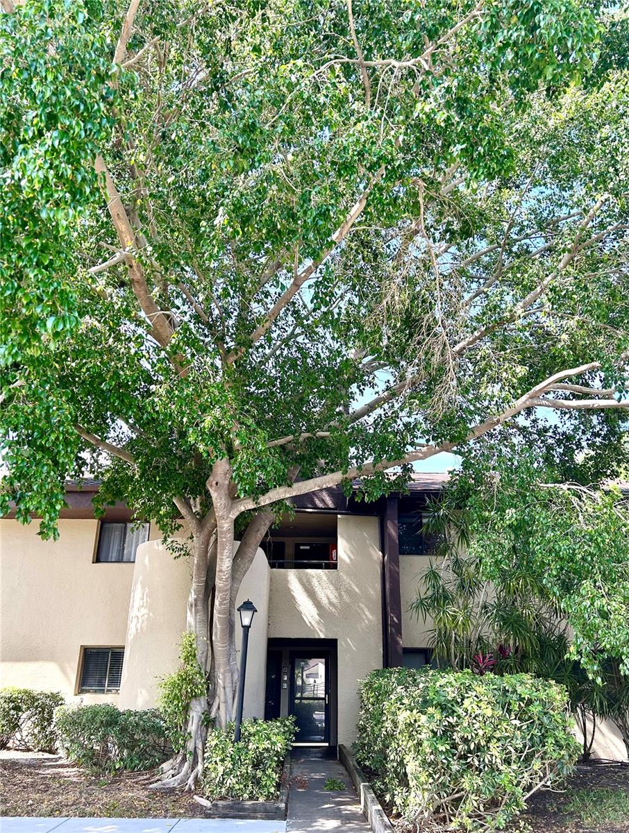 Image 2 of 33 For 10775 Village Club Circle N 206