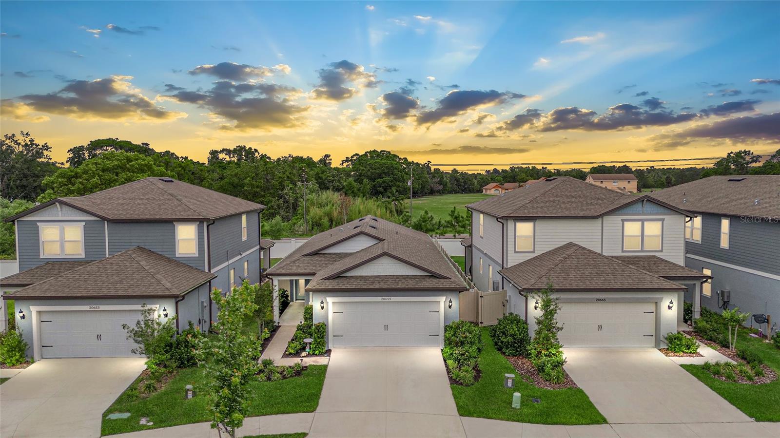 Details for 20659 Drake Elm Drive, LAND O LAKES, FL 34638