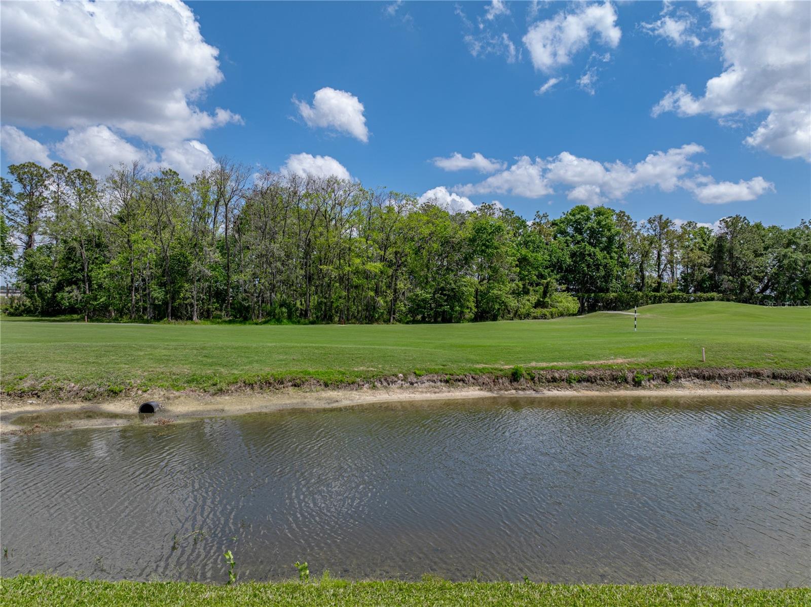 Image 48 of 72 For 10324 Chatuge Drive