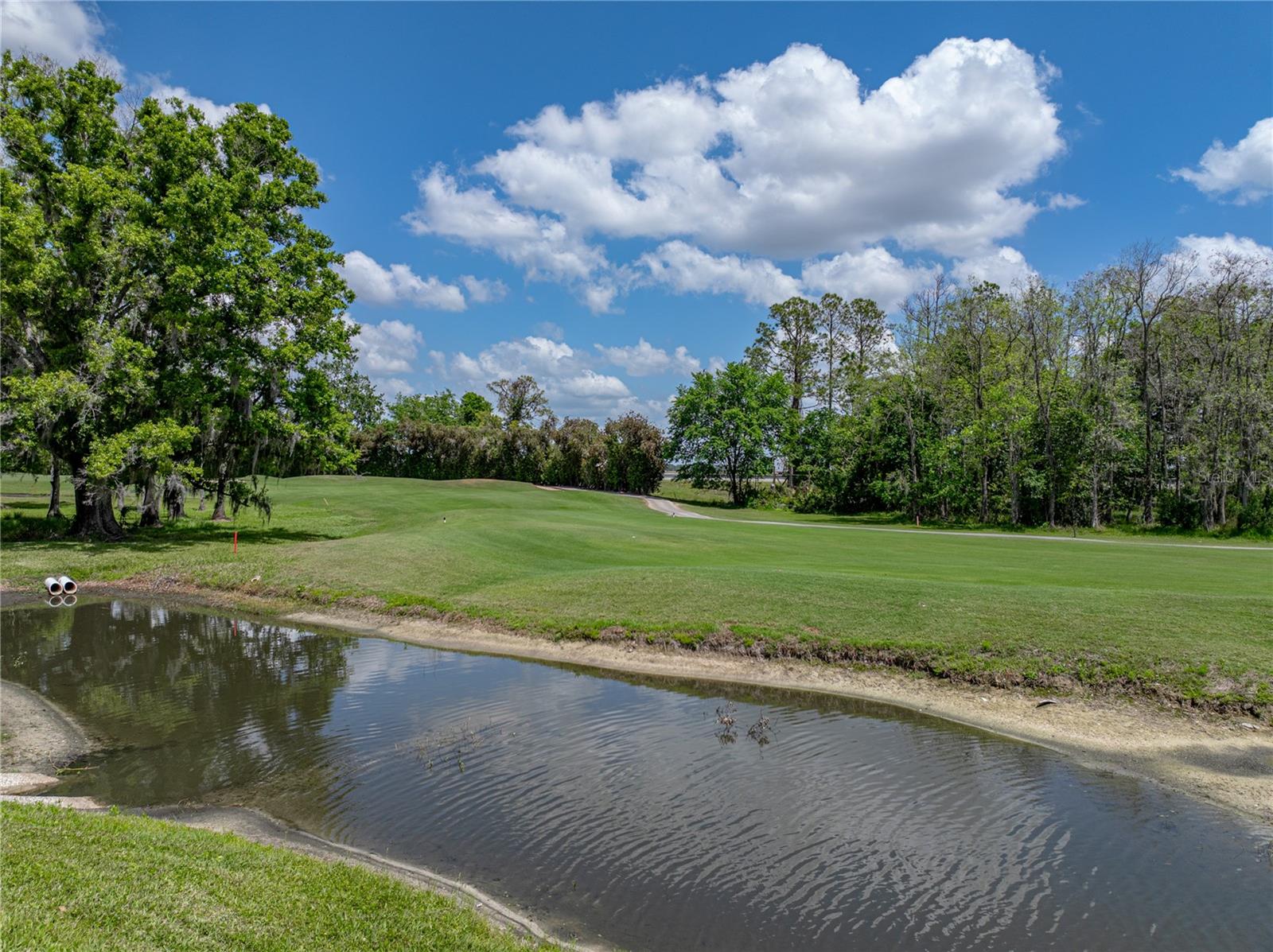 Image 50 of 72 For 10324 Chatuge Drive