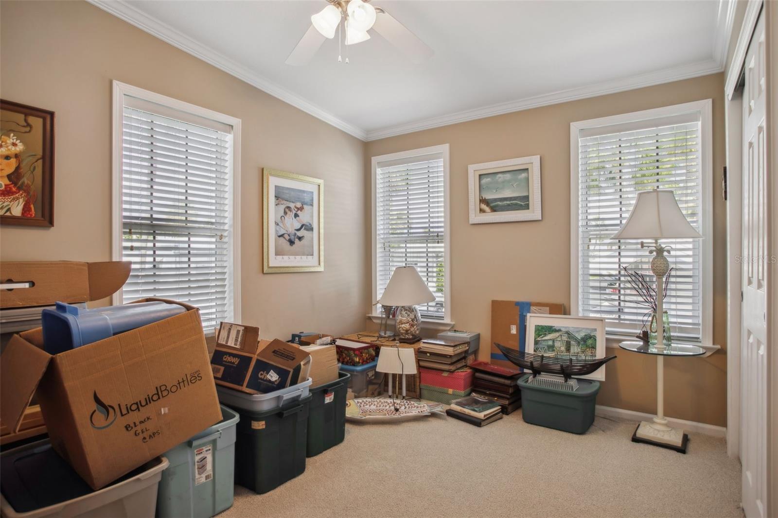 Image 13 of 25 For 4851 Gandy Boulevard B09l23