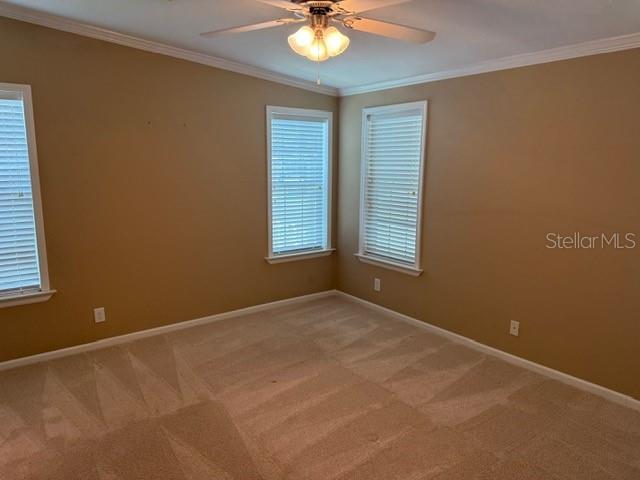 Image 28 of 32 For 4851 Gandy Boulevard B09l23