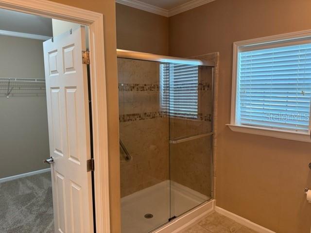 Image 29 of 32 For 4851 Gandy Boulevard B09l23