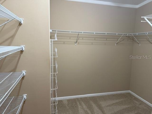 Image 30 of 32 For 4851 Gandy Boulevard B09l23