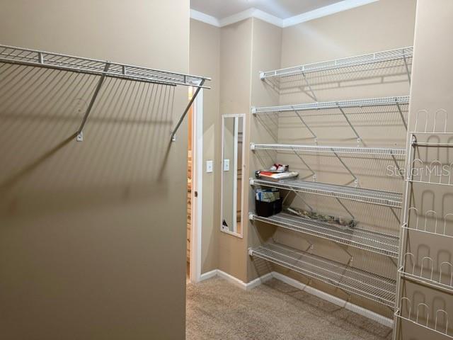 Image 31 of 32 For 4851 Gandy Boulevard B09l23